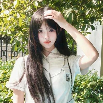 彩虹庇护所